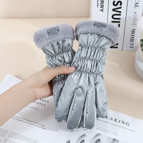 Warm Gloves Winter Women's Touch Screen Fleece-lined Thickened (Option: Fur Mouth Bear Gray)